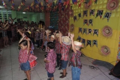 galeria22_Arraia-do-IIGG-33