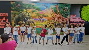 post2025_out_Safari-2